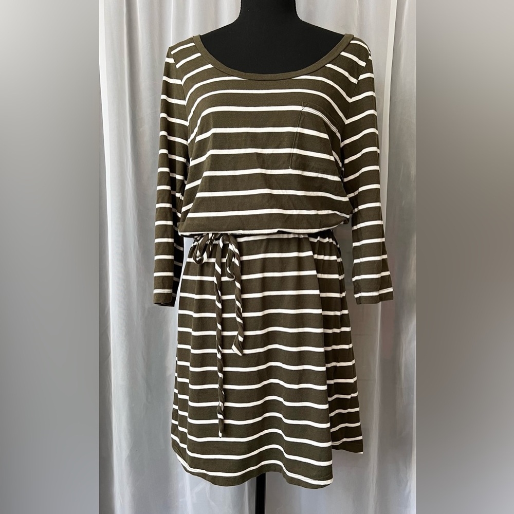 Banana Republic Olive Green Dress